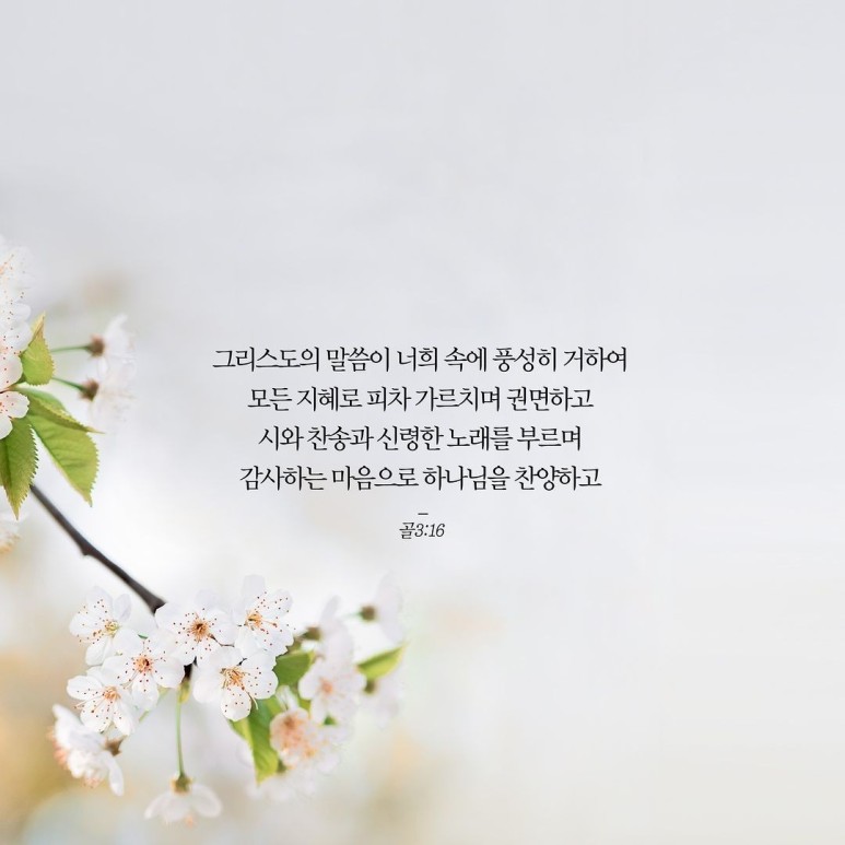 f_ideUd018svctxcg96w4nzvy_tay893 (1).jpg